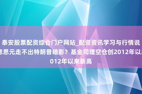 泰安股票配资综合门户网站_配资资讯学习与行情说明 好意思元走不出特朗普暗影？基金司理空仓创2012年以来新高