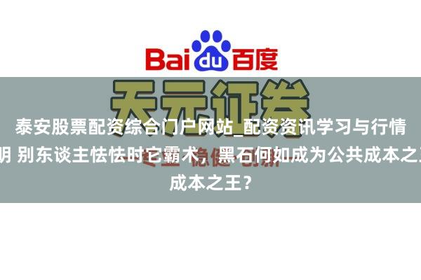 泰安股票配资综合门户网站_配资资讯学习与行情说明 别东谈主怯怯时它霸术，黑石何如成为公共成本之王？