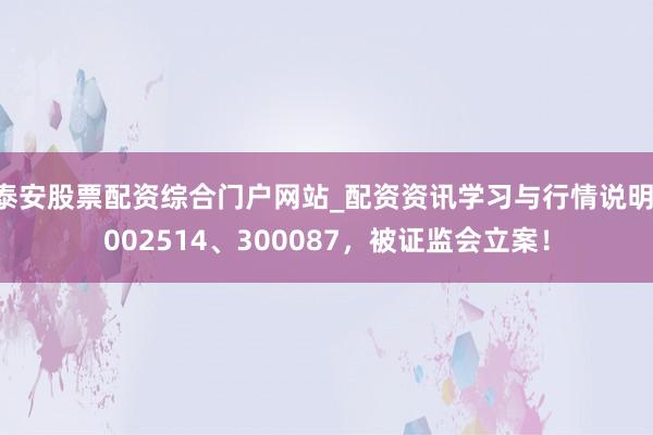 泰安股票配资综合门户网站_配资资讯学习与行情说明 002514、300087，被证监会立案！